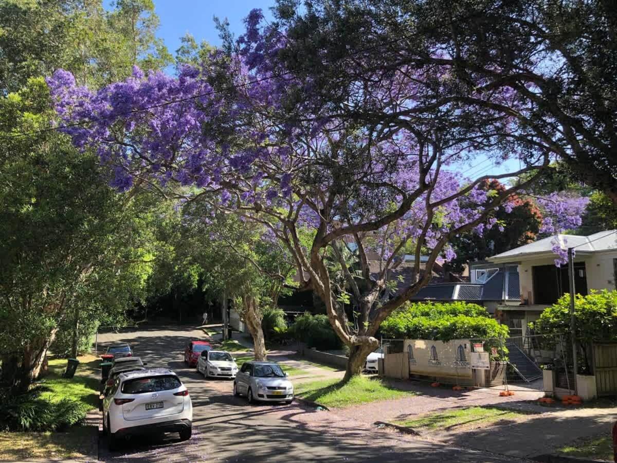 Relaxed House In Bronte